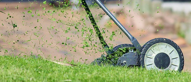 Lawn Mowing Side Hustle
